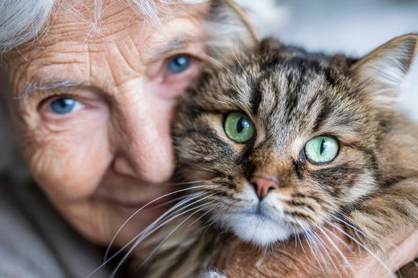 Photo of older woman and cat
