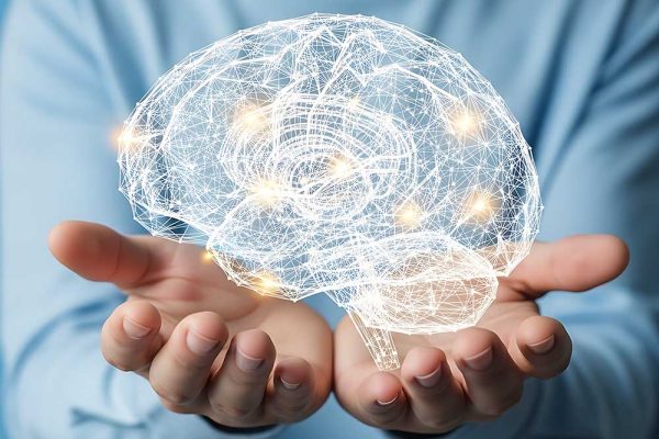 Photo of illustration of brain