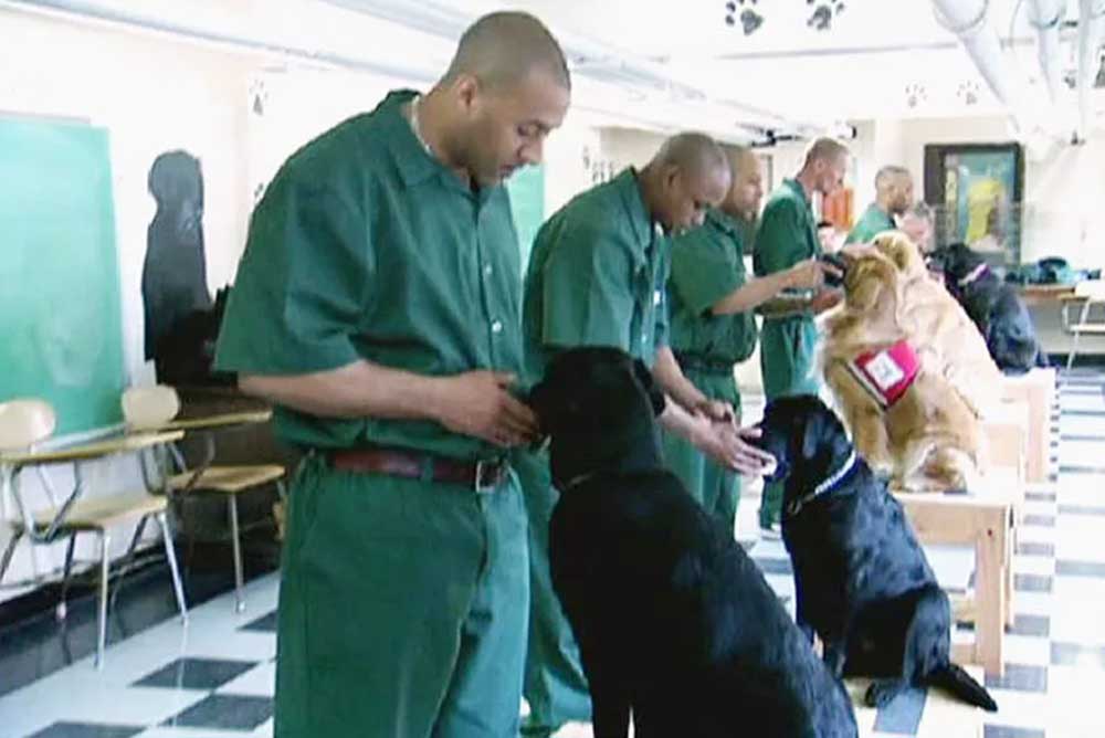 Image of inmates with dogs