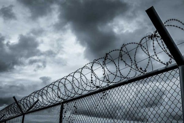 photo of barbed wire fence