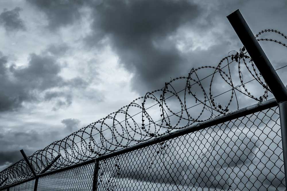 photo of barbed wire fence